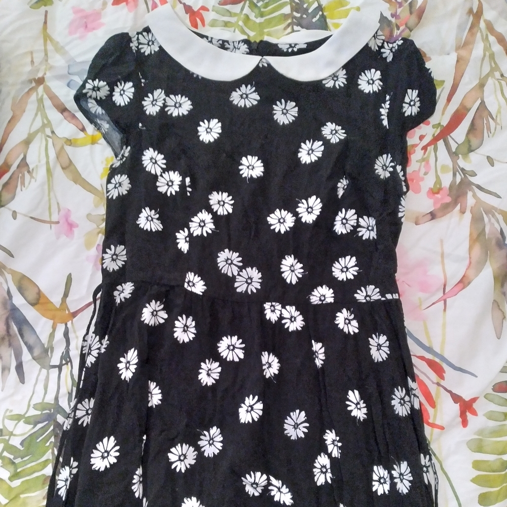 Daisy Peter Pan Collared Dress